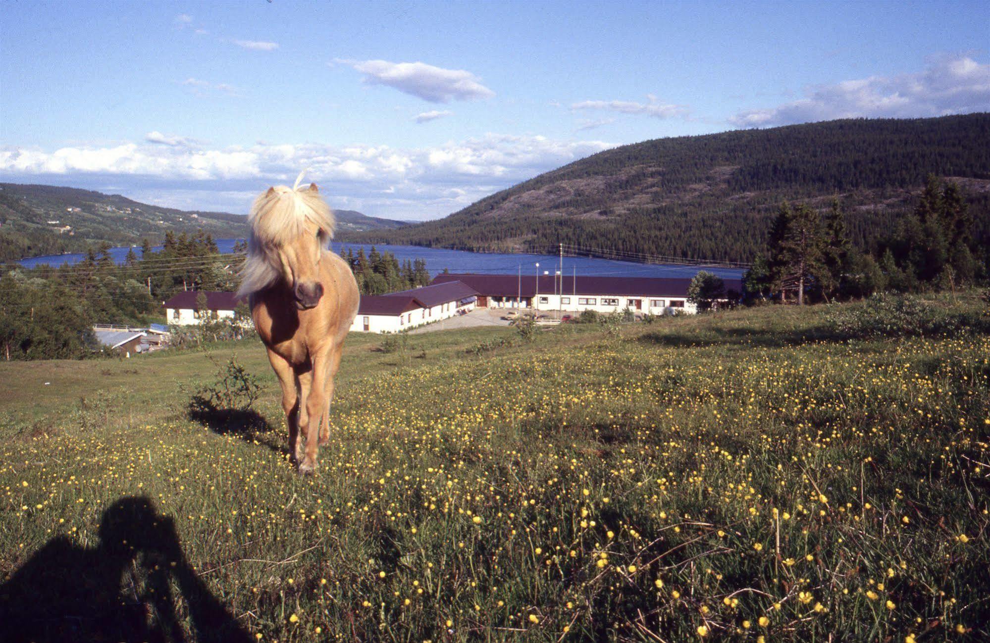 Valdres Hoyfjellshotell Steinsetbygdi Exterior foto